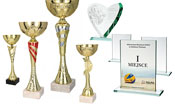 <h4>PUCHARY</h4>puchary metalowe, statuetki, szklane trofea, medale 