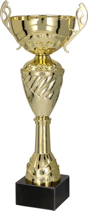 Złoty puchar