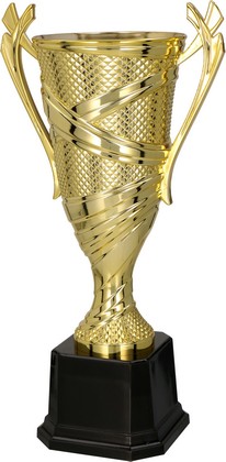 Złoty puchar