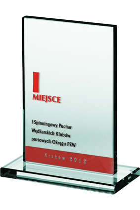 Trofeum grawerowane + farba