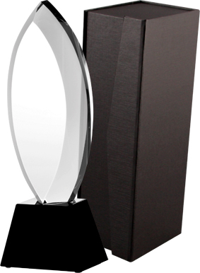 Trofeum kryształowe z etui