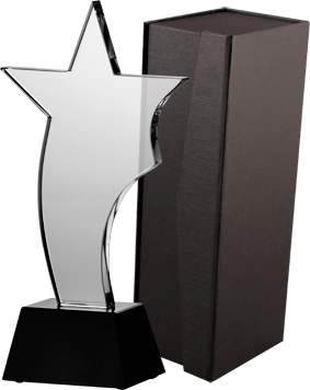 Trofeum szklane z etui