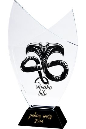 Kryształ z kolorowym grawerem