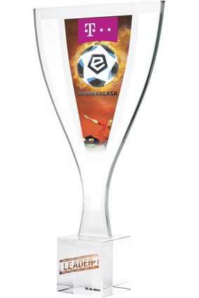 Kryształ z nadrukiem kolorowym