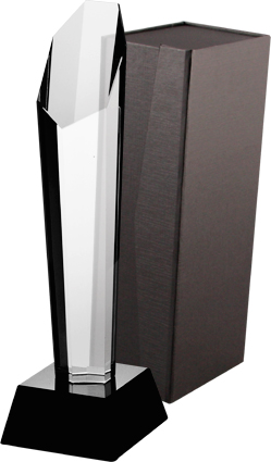 Trofeum szklane z etui