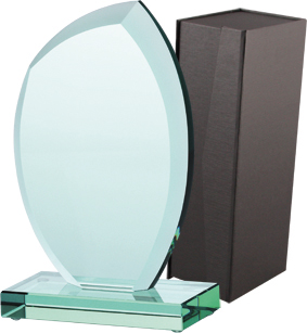 Trofeum szklane z etui