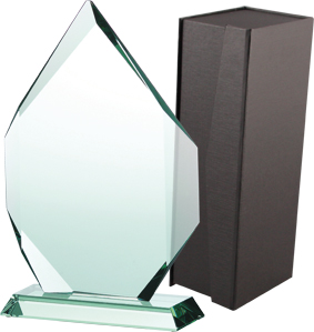 Trofeum szklane z etui