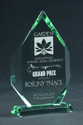 Trofeum szklane grawerowane z etui