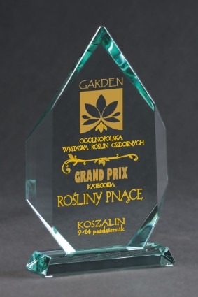 Trofeum szklane grawerowane z etui +wypełnianie fa