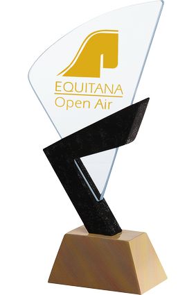 Trofeum grawerowane + farba