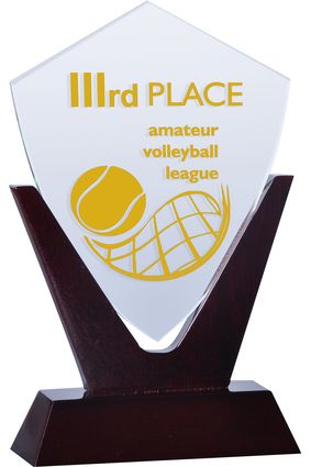 Trofeum grawerowane + farba