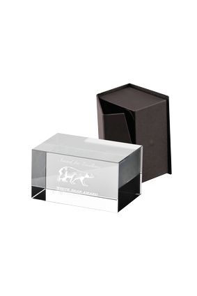 Trofeum szklane + grawer 3D