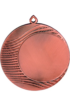 Brązowy medal