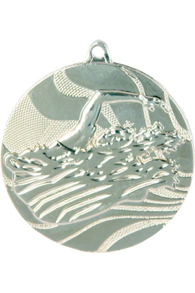 Srebrny medal