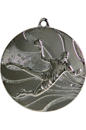Srebrny medal