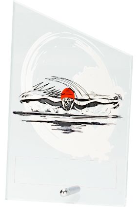 Szkło z dyscypliną - pływanie