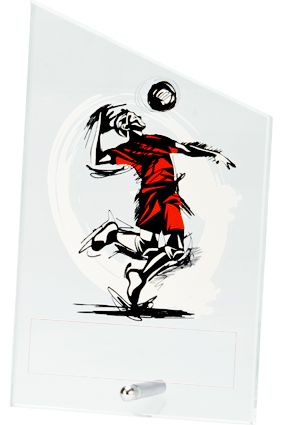 Szkło z dyscypliną - siatkówka